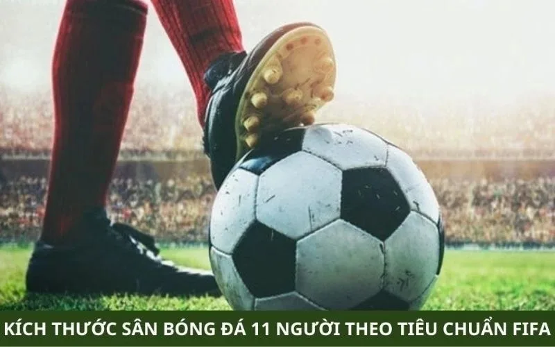 feat 1785729435